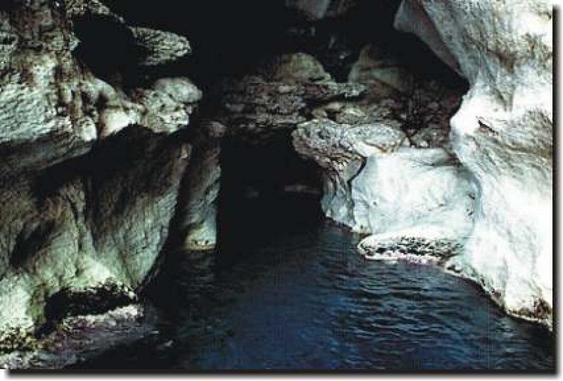 Le grotte di Marettimo